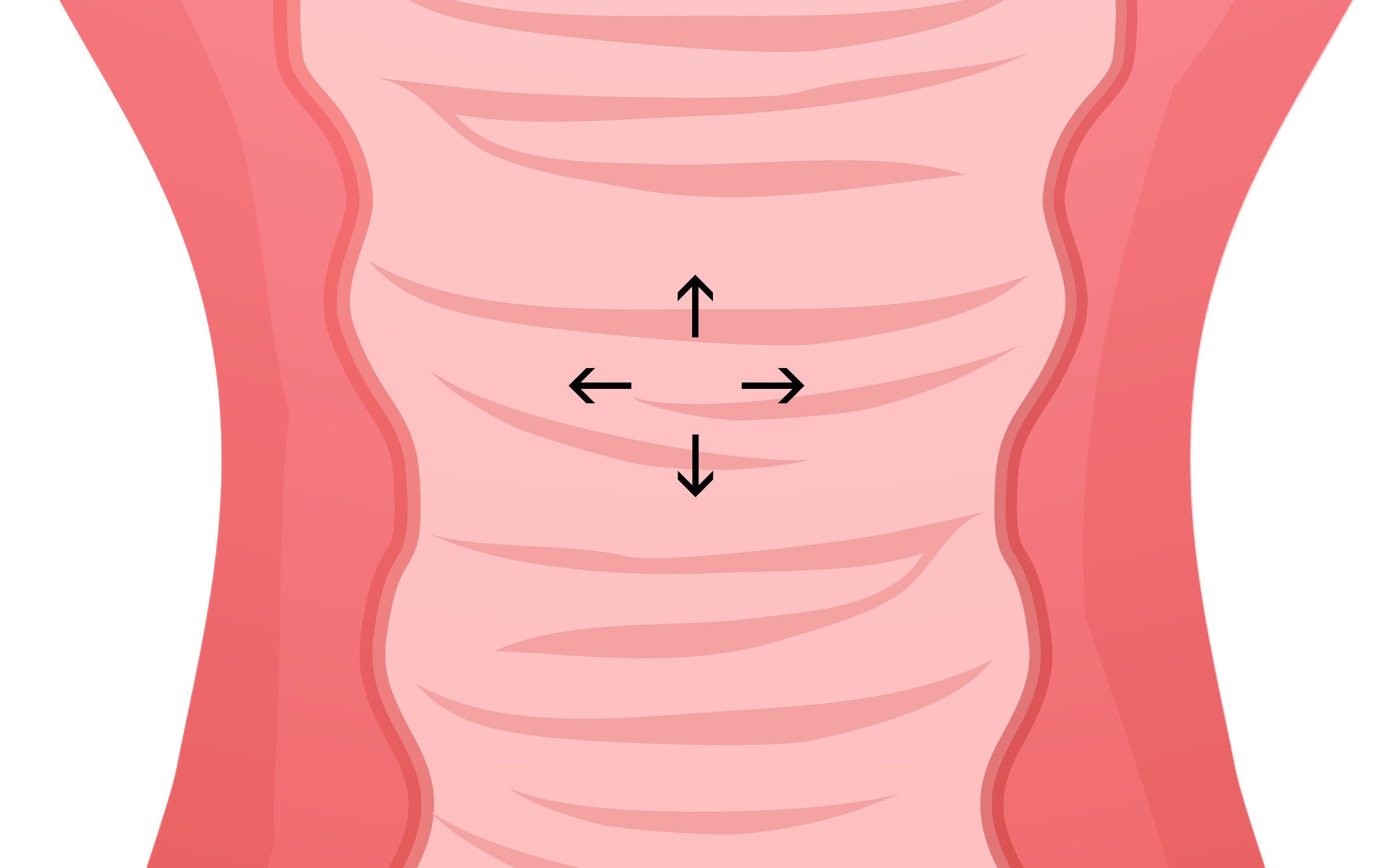 Cut away of the vaginal canal