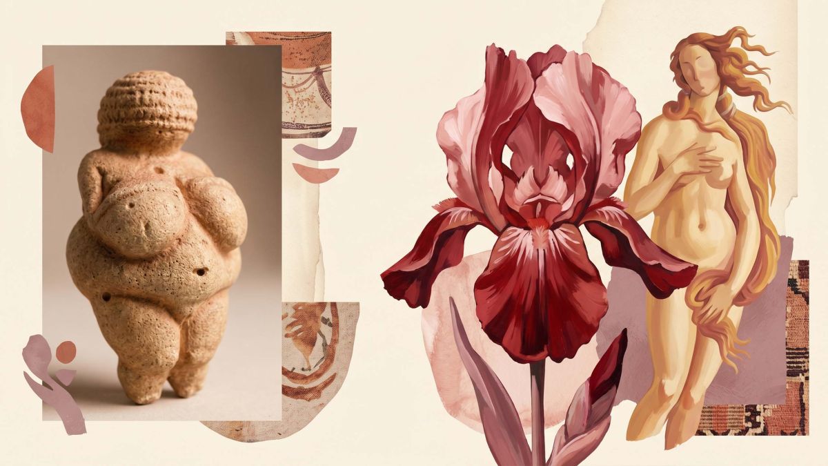 A collage of art-historical feminine forms from prehistoric figurines to Renaissance paintings and abstract botanical canvases