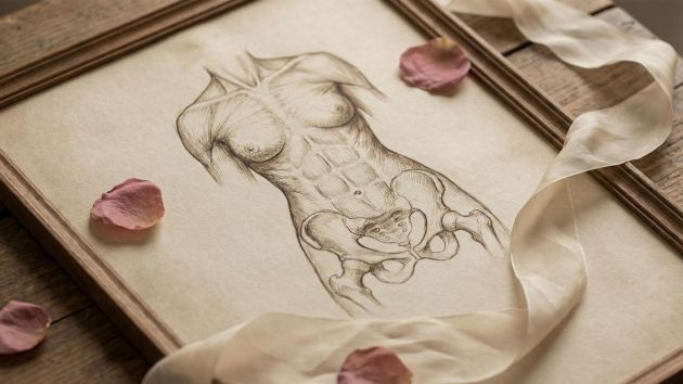 Un dibujo anatómico histórico del sistema reproductor femenino que representa el descubrimiento biológico.