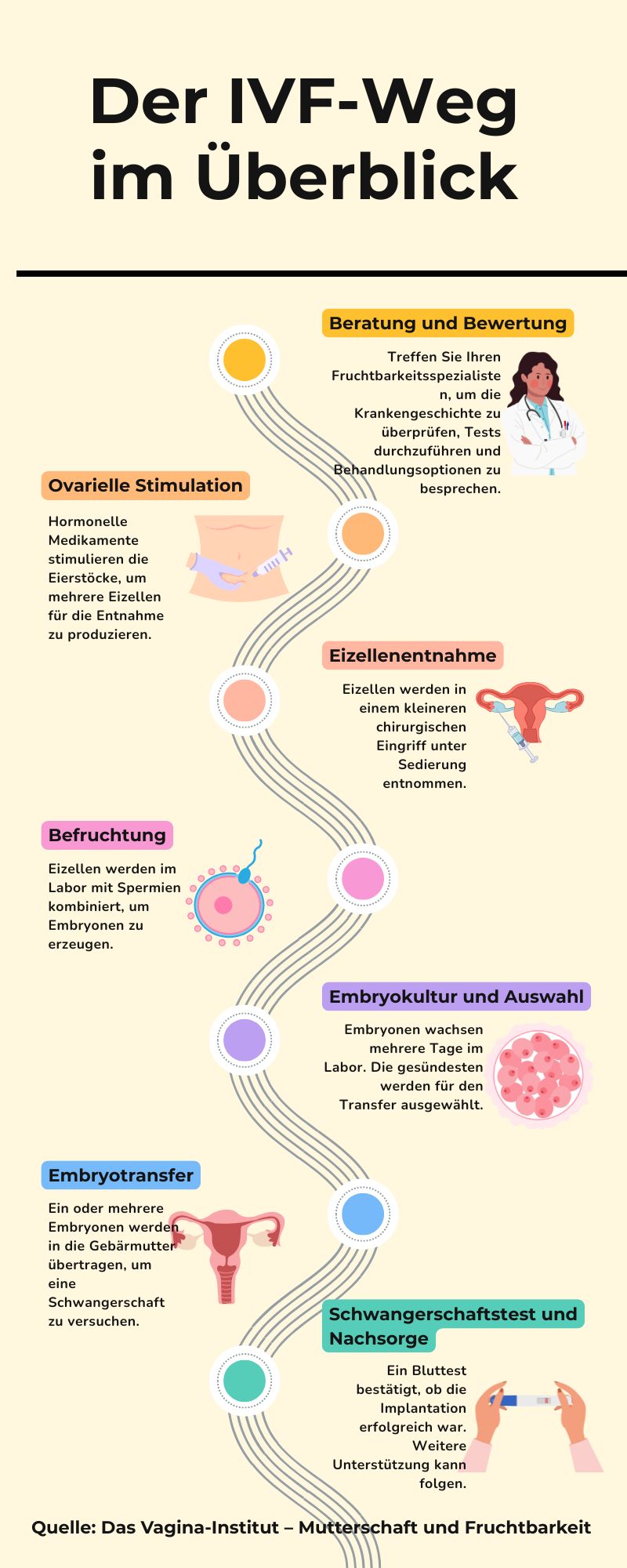 Der IVF-Weg im Überblick