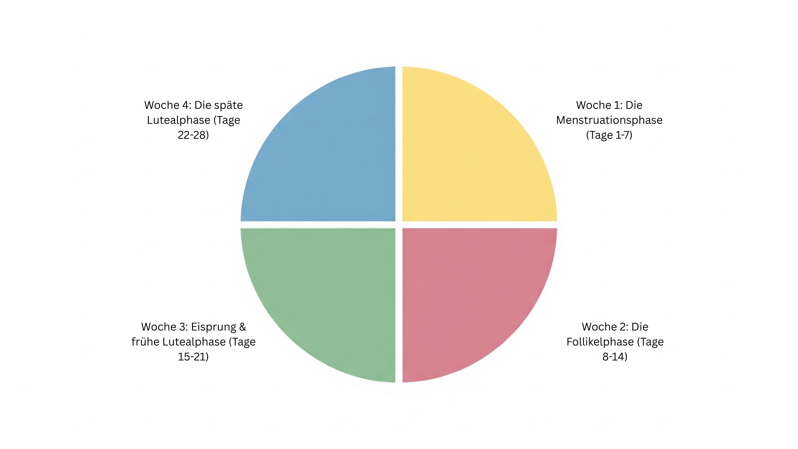Ein Diagramm, das die vier w&ouml;chentlichen Phasen des Menstruationszyklus darstellt.