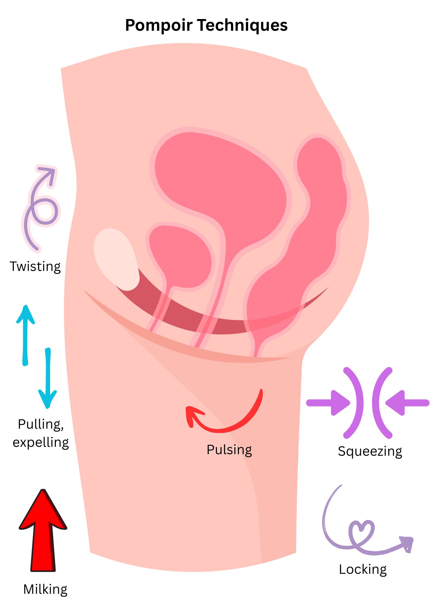 Explore the pompoir techniques with vaginal control