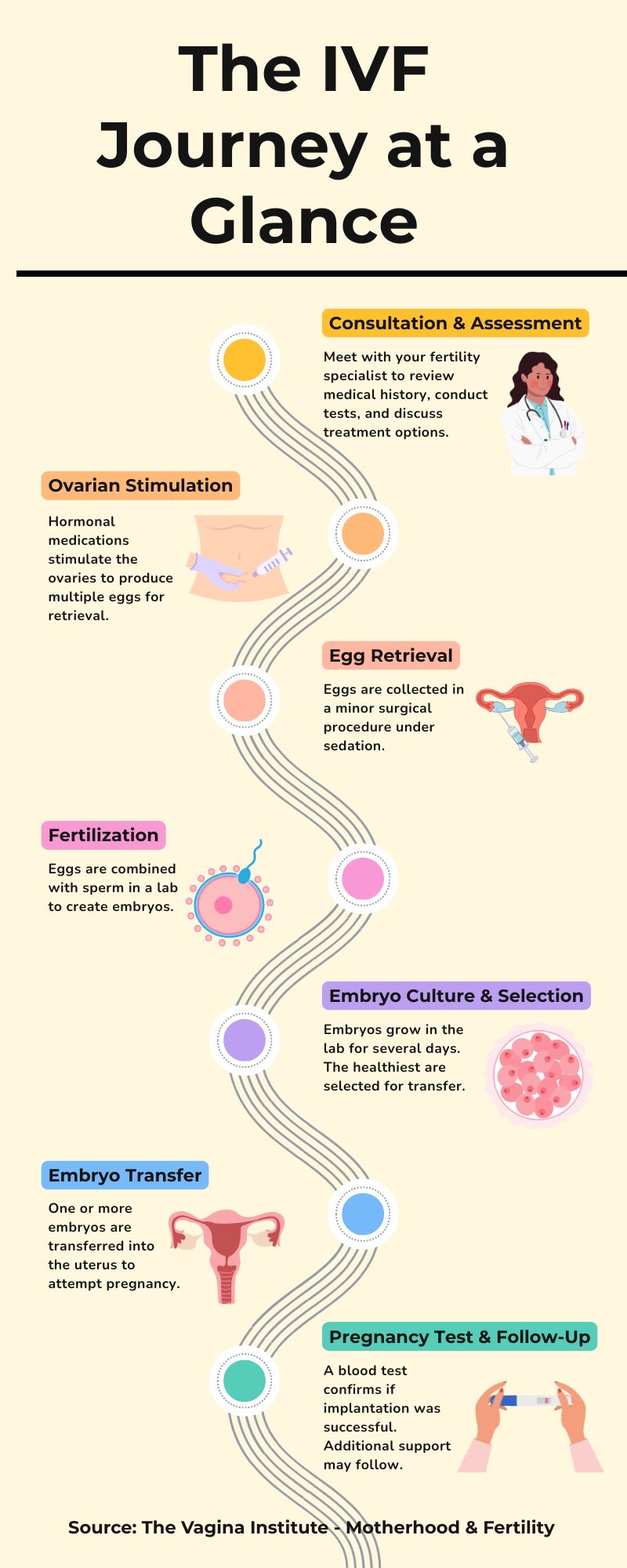 The IVF Journey at a Glance