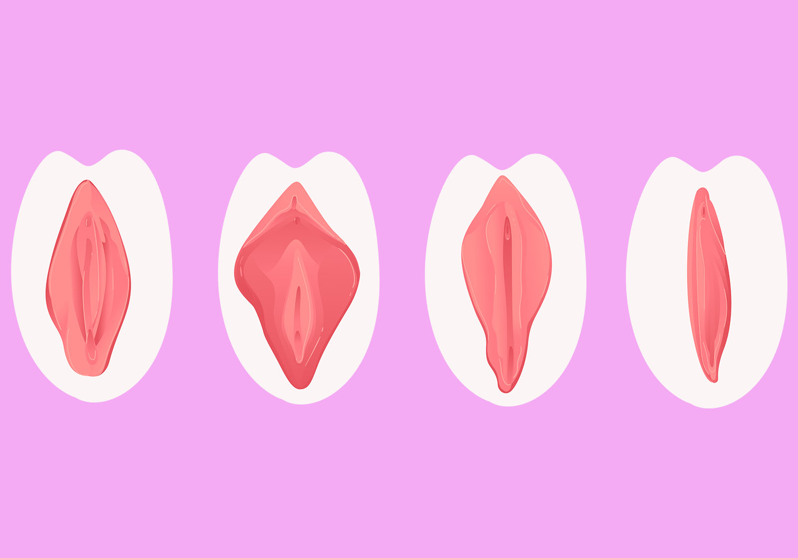 Ilustración sencilla y respetuosa en tonos pastel que muestra la variación natural en las formas de la vulva