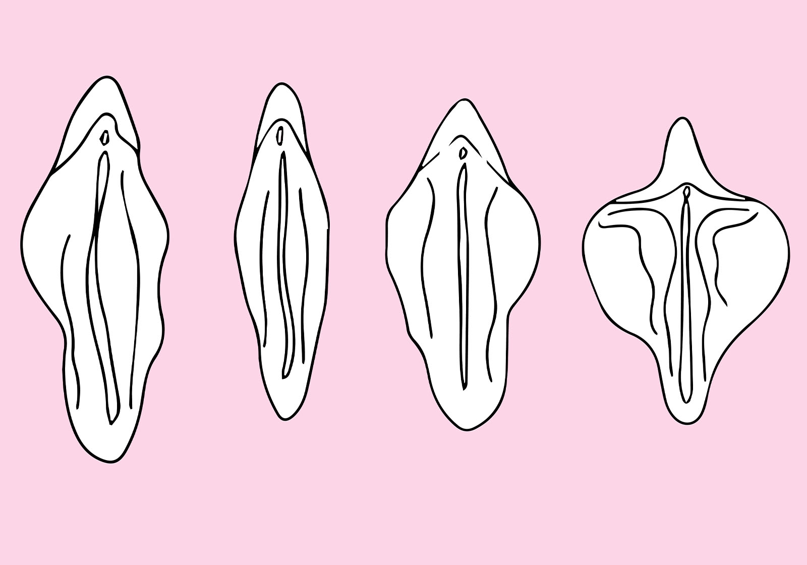 Stylized line art illustrating normal variations in vulva appearance in soft pastel colors