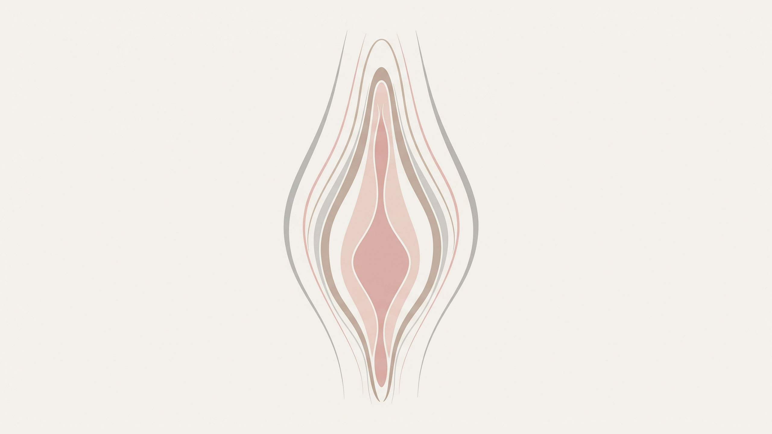 Ilustraci&oacute;n abstracta de las curvas de la vulva para contenido educativo