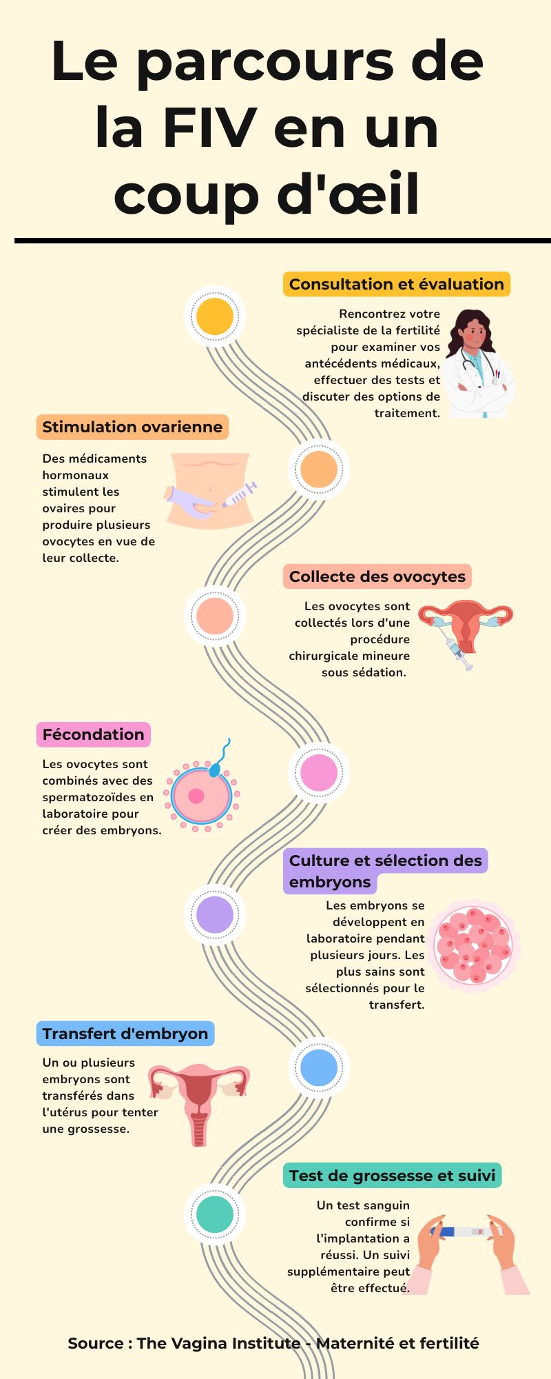 Le parcours de la FIV en un coup d'œil
