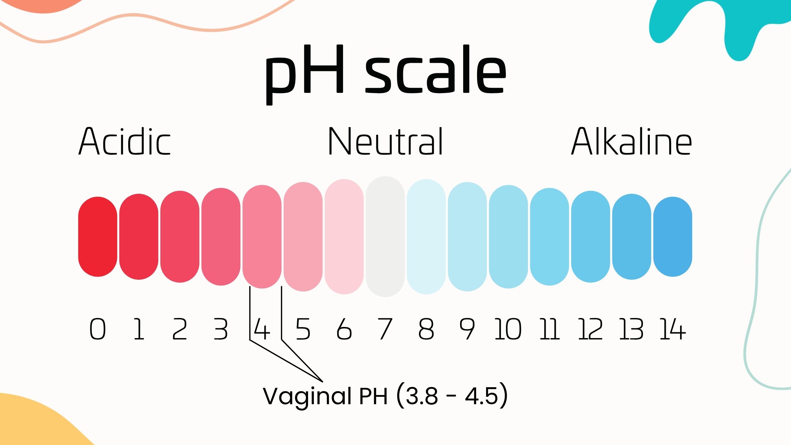 Illustration montrant l&rsquo;&eacute;chelle du pH et l&rsquo;&eacute;quilibre du microbiome vaginal