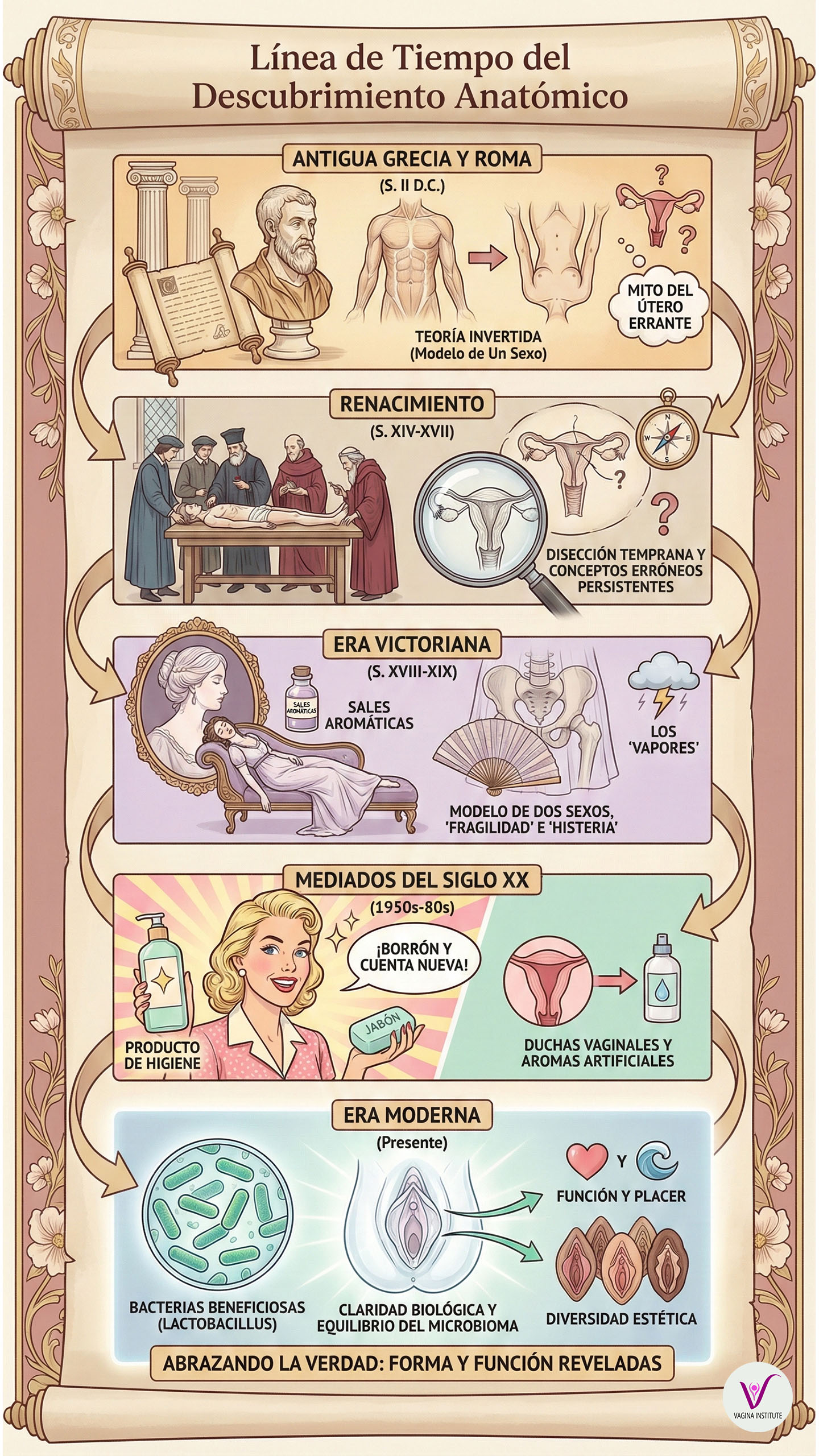 Línea de tiempo del descubrimiento anatómico desde la Antigua Grecia hasta la era moderna