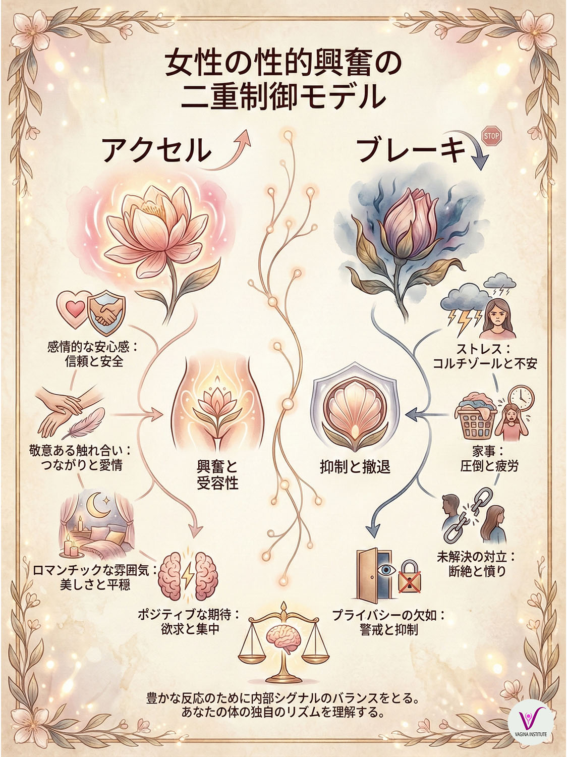 女性の覚醒における二重制御モデル