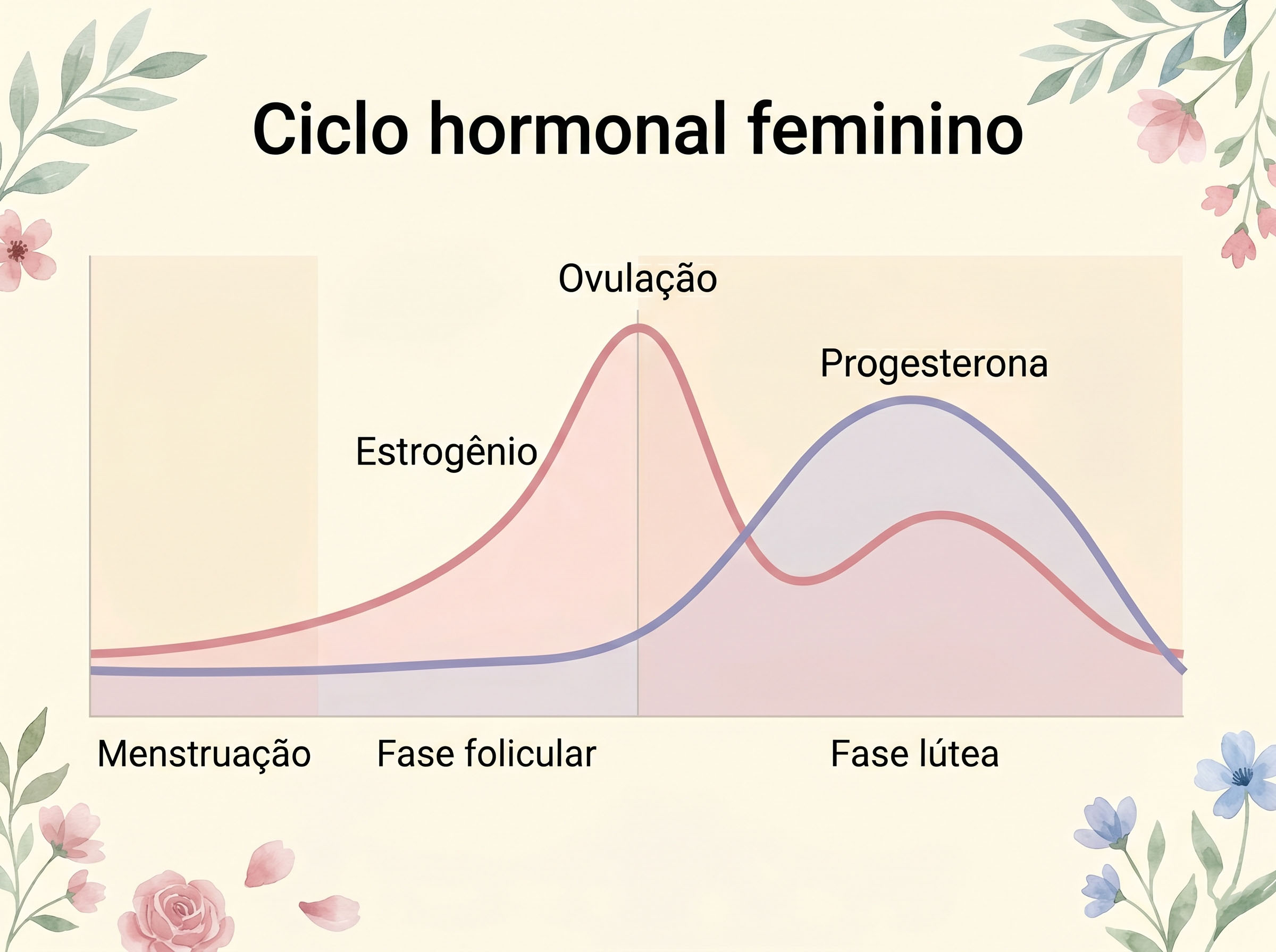 Diagrama das fases do ciclo hormonal natural estrogênio progesterona ovulação