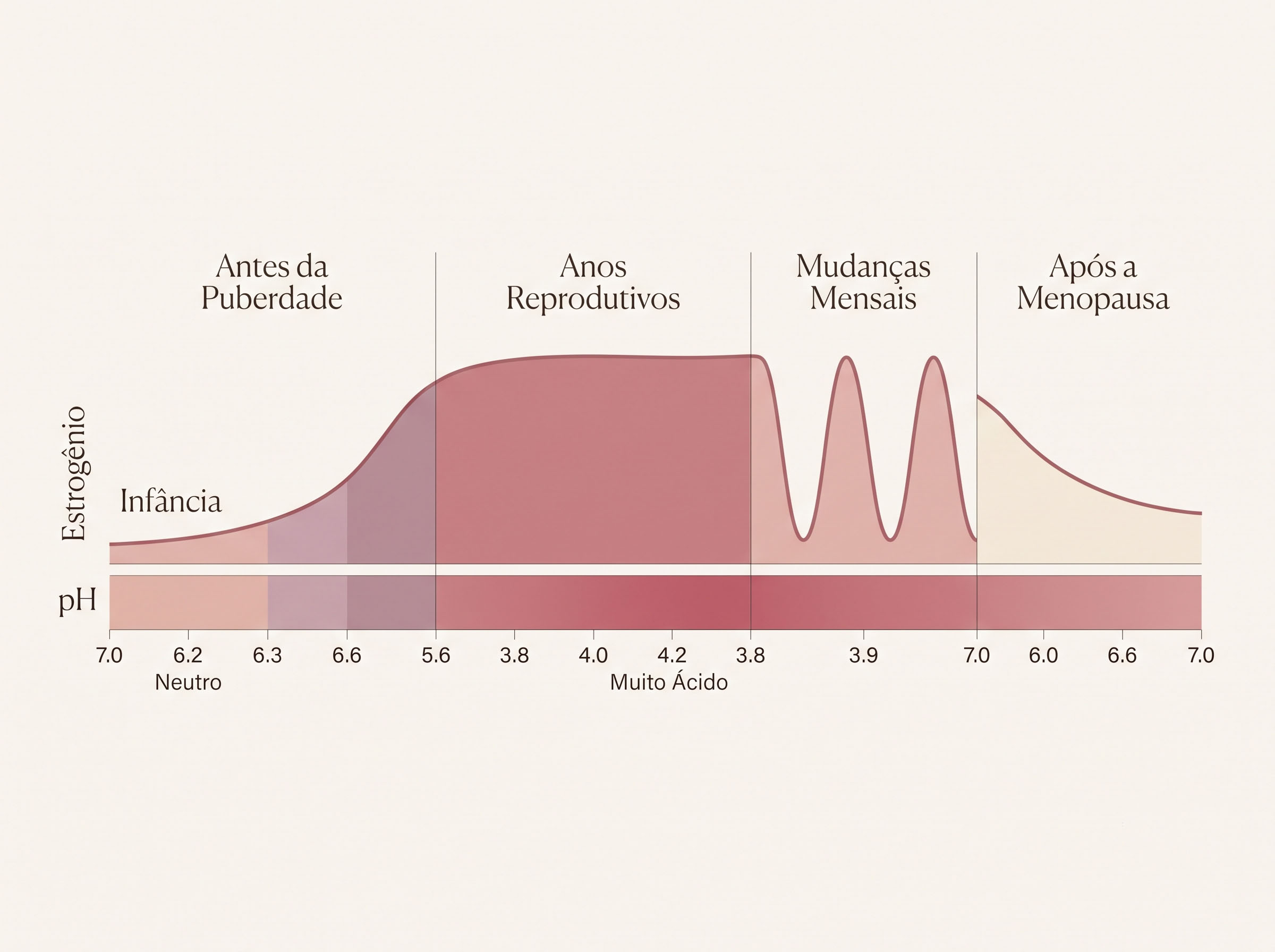 Diagrama mostrando como o glicogênio das células da parede vaginal é decomposto e convertido por Lactobacillus em ácido lático, reduzindo o pH vaginal