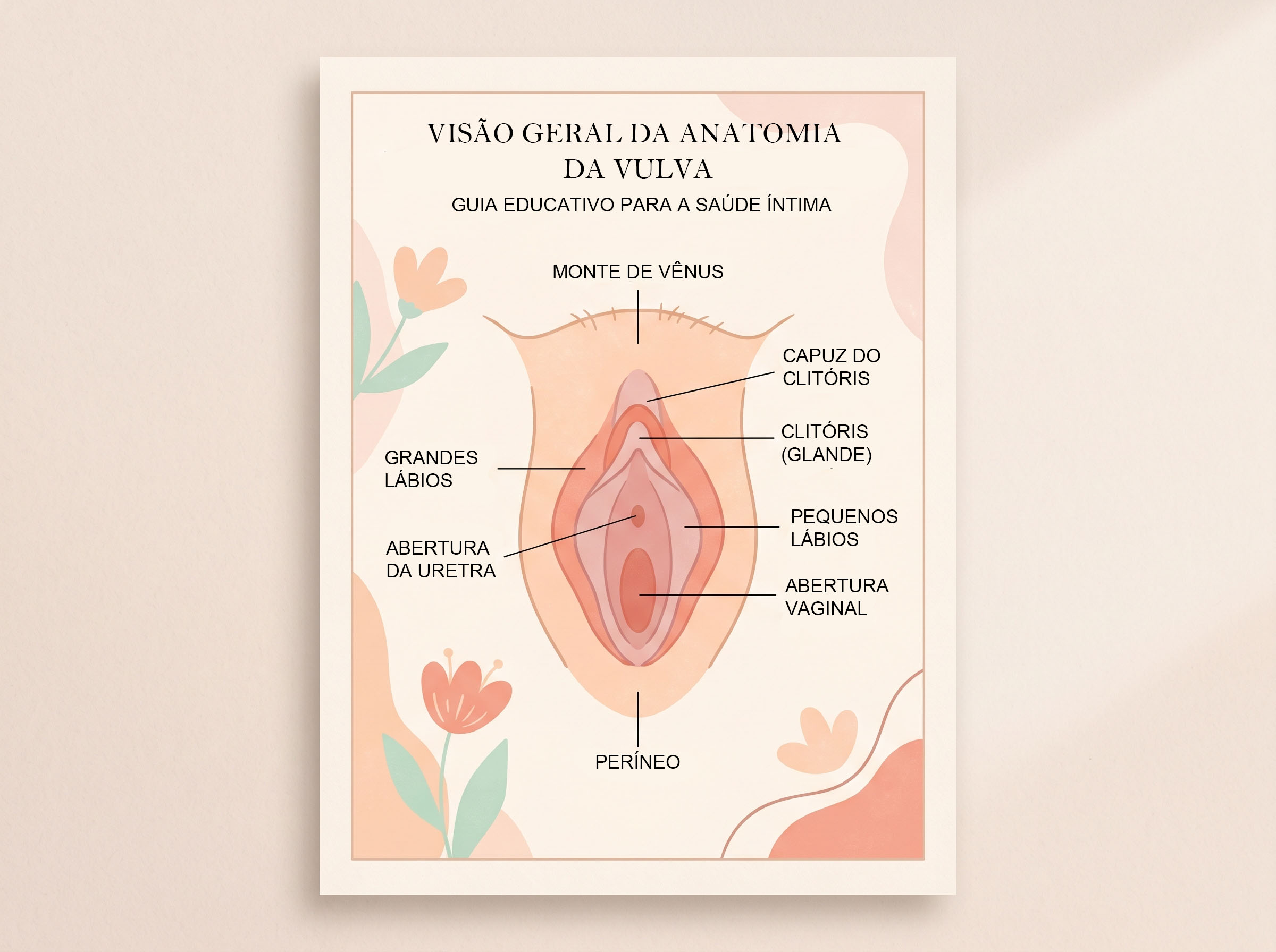 Diagrama ilustrado simples mostrando a anatomia externa da vulva com partes rotuladas para contexto educacional de higiene íntima