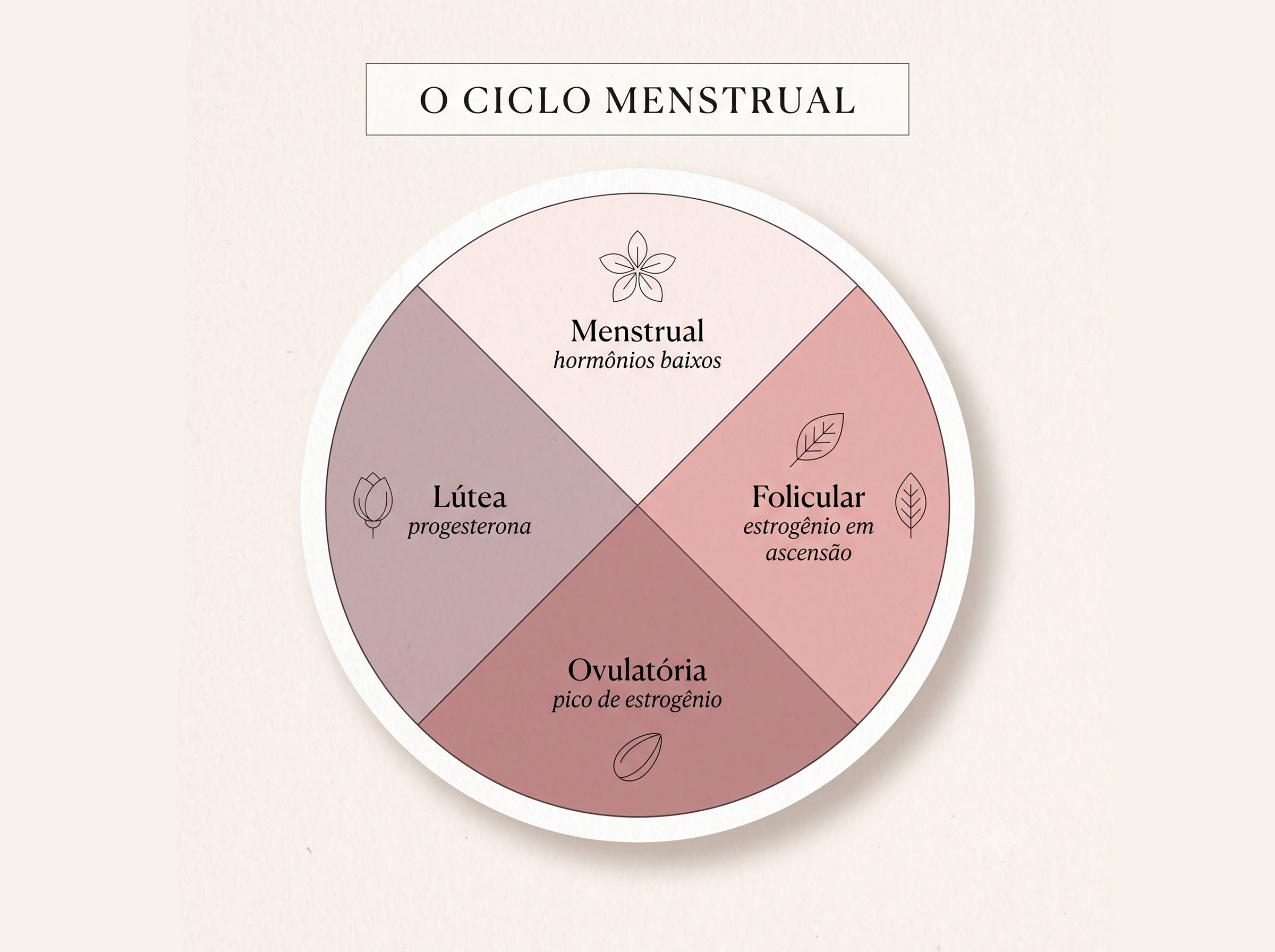 Diagrama de roda ilustrado que mostra as quatro fases do ciclo menstrual com os hormônios dominantes para cada fase