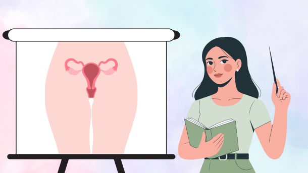 Quiz sur le système reproducteur féminin