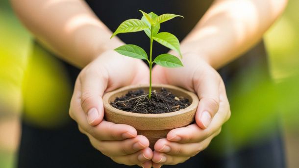 Las manos de una pareja sosteniendo suavemente un retoño en crecimiento, simbolizando una relación nutritiva y en desarrollo.