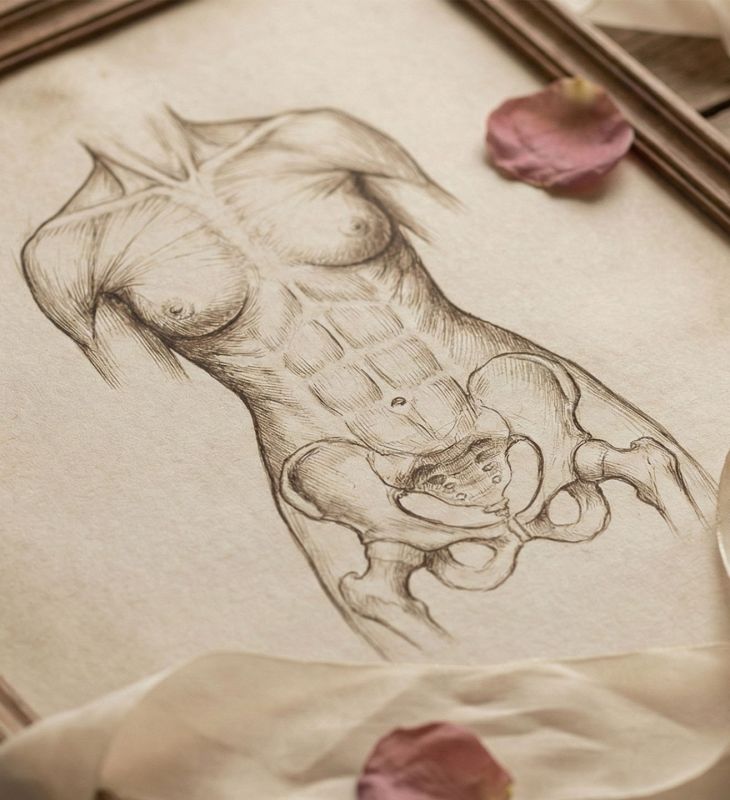 生物学的発見を象徴する、女性の生殖器系を描いた歴史的な解剖図。