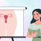 Female Reproductive System Quiz