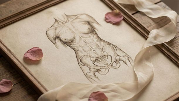 A historical anatomical drawing of the female reproductive system representing biological discovery.