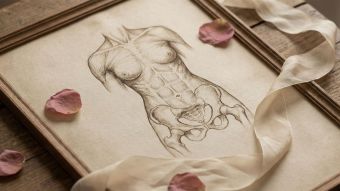 A historical anatomical drawing of the female reproductive system representing biological discovery.