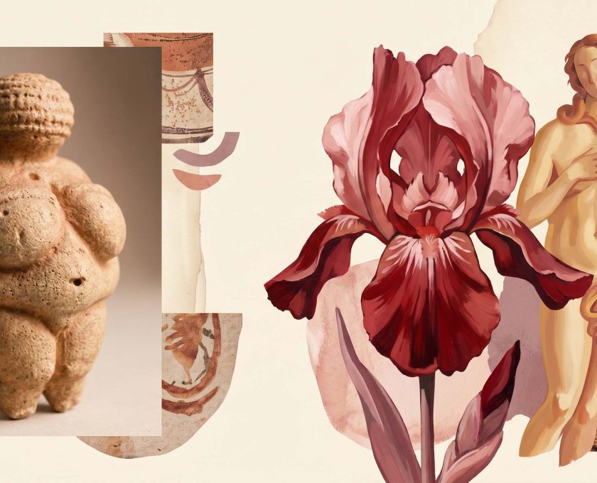 A collage of art-historical feminine forms from prehistoric figurines   to Renaissance paintings and abstract botanical canvases