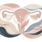 Abstract illustrating female pelvic anatomy and vaginal elasticity