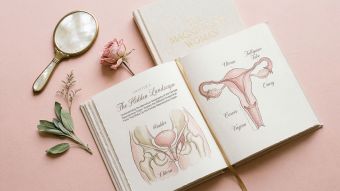 Illustrated open anatomy reference book surrounded by soft botanical elements on a blush pink background, representing accessible women’s health education.