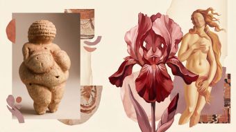 A collage of art-historical feminine forms from prehistoric figurines   to Renaissance paintings and abstract botanical canvases