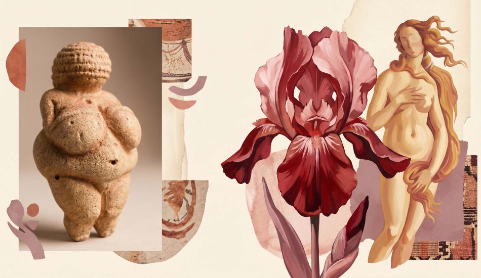 A collage of art-historical feminine forms from prehistoric figurines   to Renaissance paintings and abstract botanical canvases