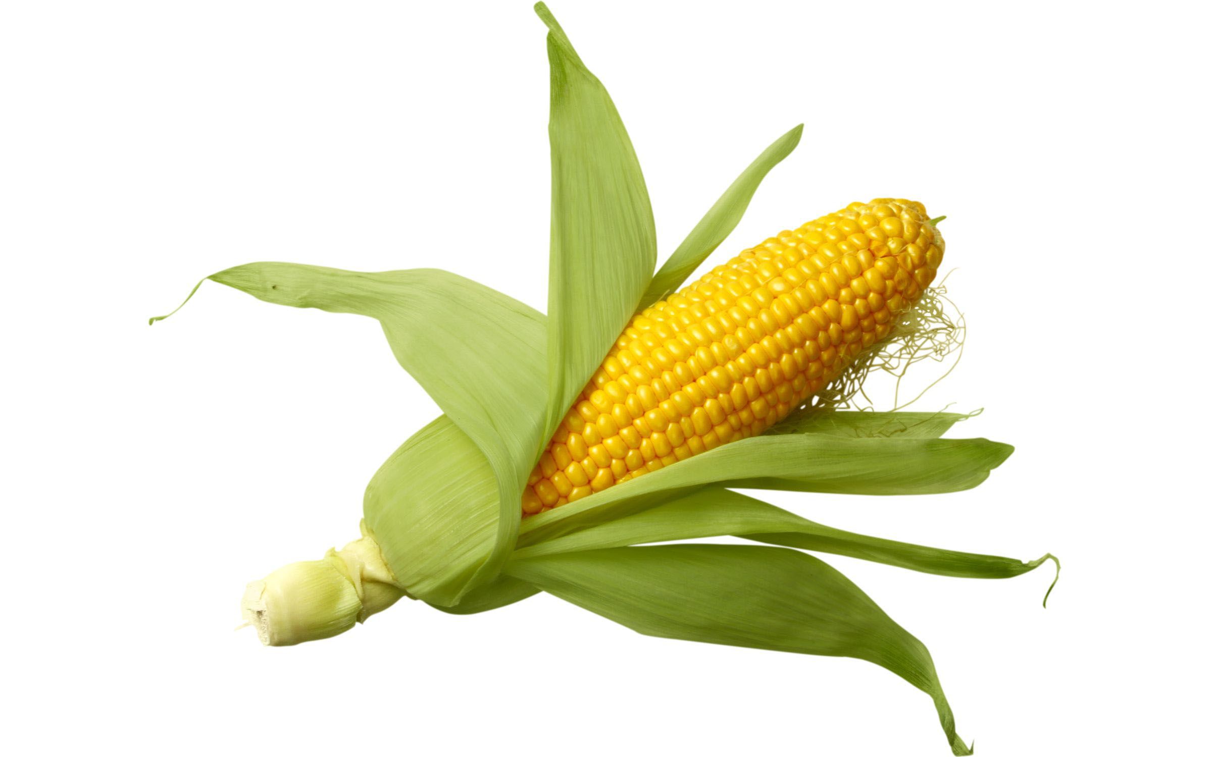 maíz como juguete sexual improvisado