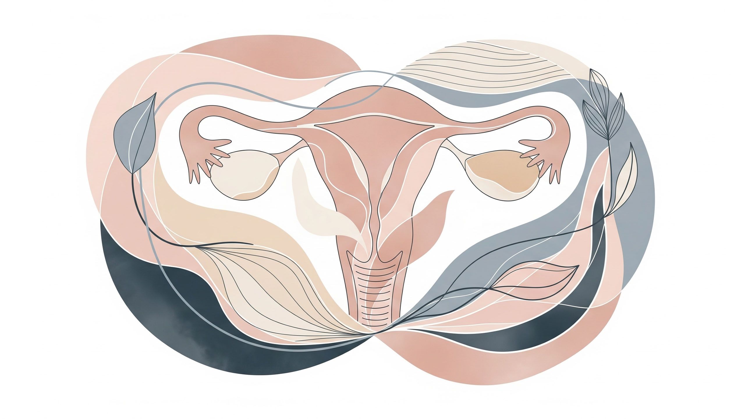Diagrama abstracto que ilustra la anatomía pélvica femenina y la elasticidad vaginal.