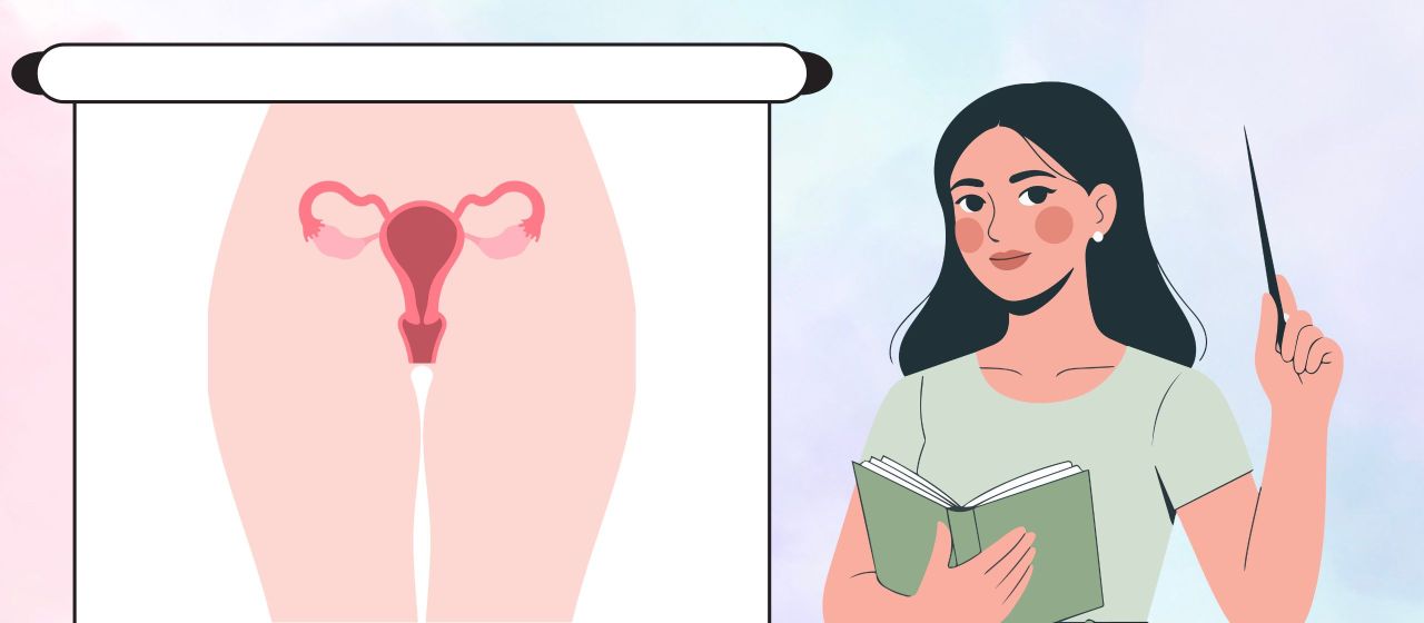 Quiz sur le système reproducteur féminin