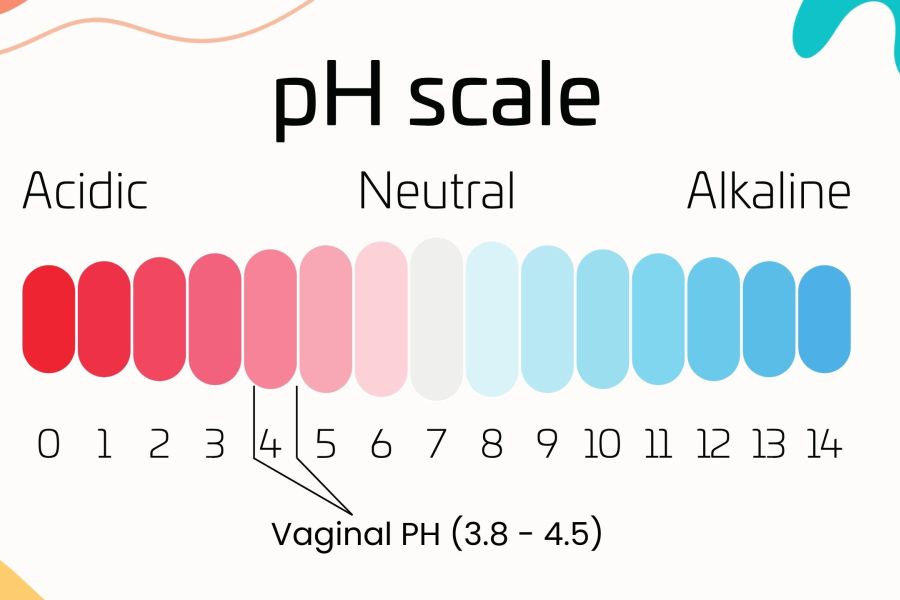 Illustration showing the pH scale and vaginal microbiome balance