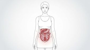 Illustration showing vaginal anatomy with myth vs fact labels