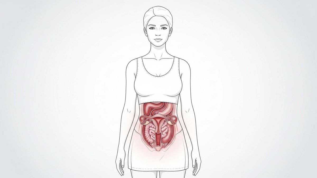 Ilustración de anatomía vaginal con etiquetas mito vs hecho