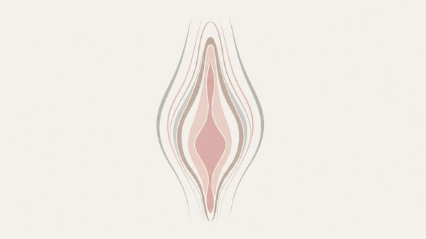 Ilustración abstracta de las curvas de la vulva para contenido educativo