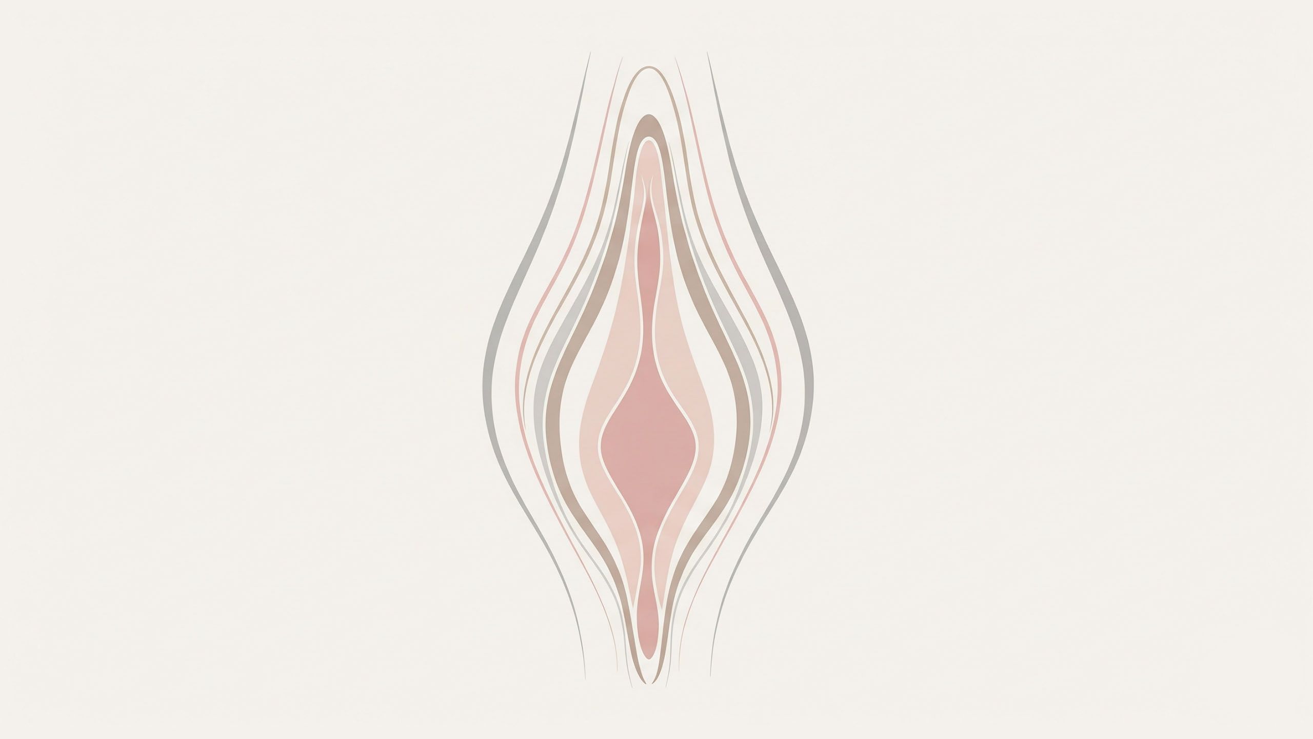 Ilustración abstracta de las curvas de la vulva para contenido educativo
