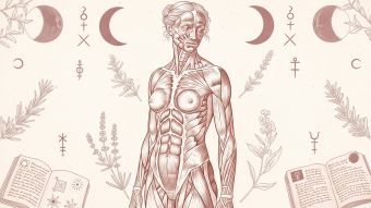 Historische anatomische Illustration über Mythen und Angst rund um den weiblichen Körper